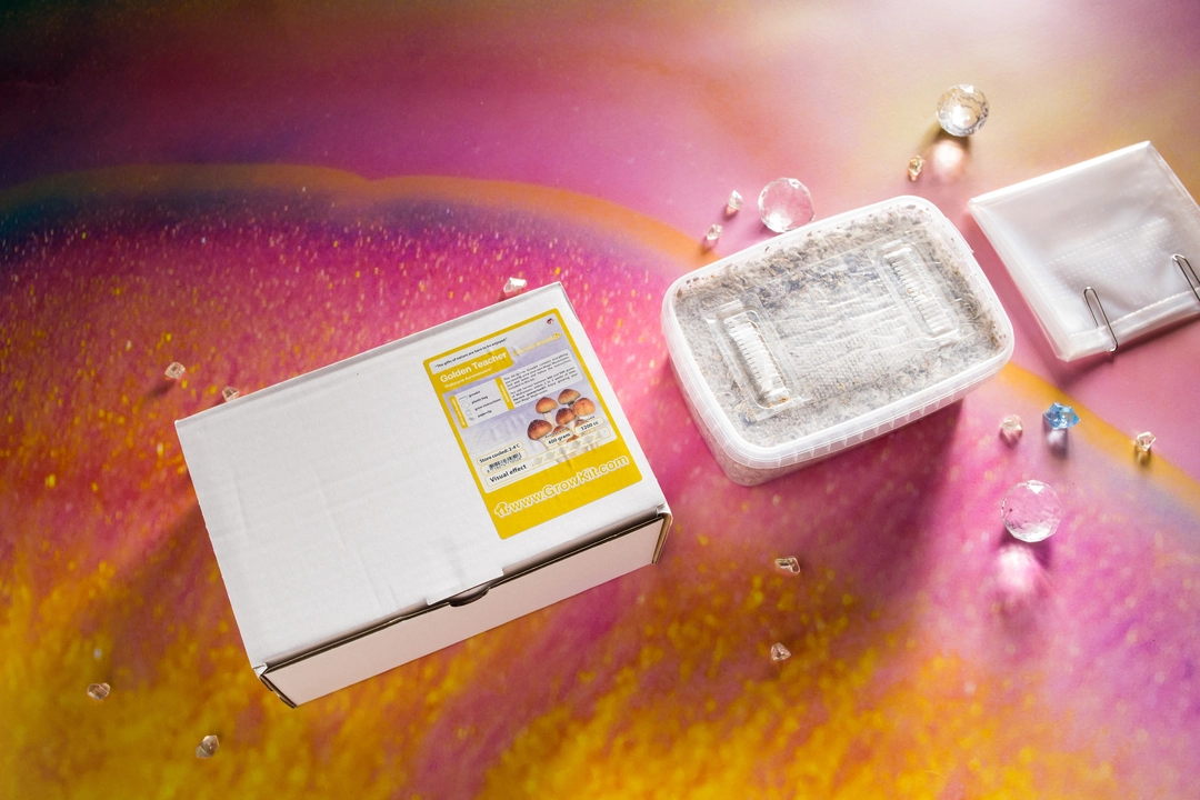 Growkit Golden Teacher 1200 ml – zestaw kolekcjonerski