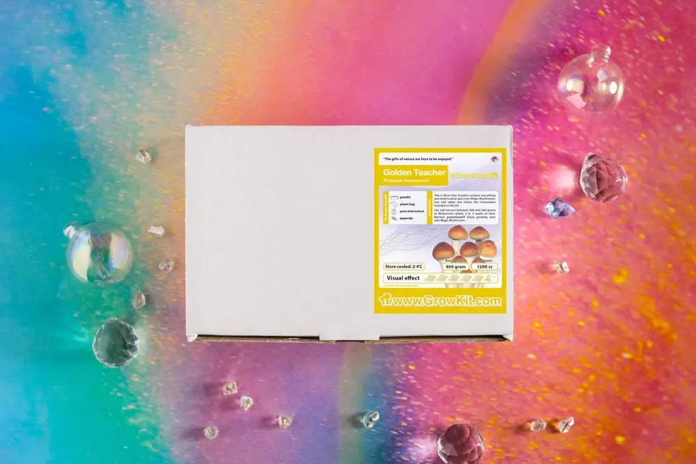 Golden Teacher research grow kit package – 1200 cc mycelium block